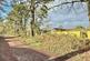 Additional image 24 of Webbs Close, Ashley Heath, BH24 2EP