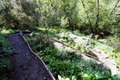Additional image 42 of 435 Tabor Dr, Scotts Valley, CA, 95066