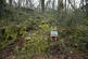 Additional image 17 of Coed Sion Wyn (about 5 and a half acres), Llanfihangel-y-Traethau, Harlech, Gwynedd LL46