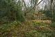 Additional image 18 of Coed Sion Wyn (about 5 and a half acres), Llanfihangel-y-Traethau, Harlech, Gwynedd LL46