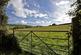 Additional image 30 of Newton Abbot, TQ12