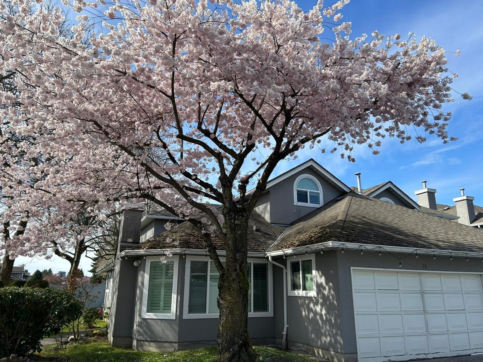 Additional image 2 of 30-9731 Capella Drive, Richmond, BC, V6X 3R1