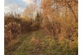 Additional image 15 of Benson, Victor, NY, 14564