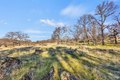 Additional image 17 of 23443 Corino Way, Grass Valley, CA, 95949