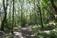 Additional image 4 of Elland Park Wood, Elland HX5