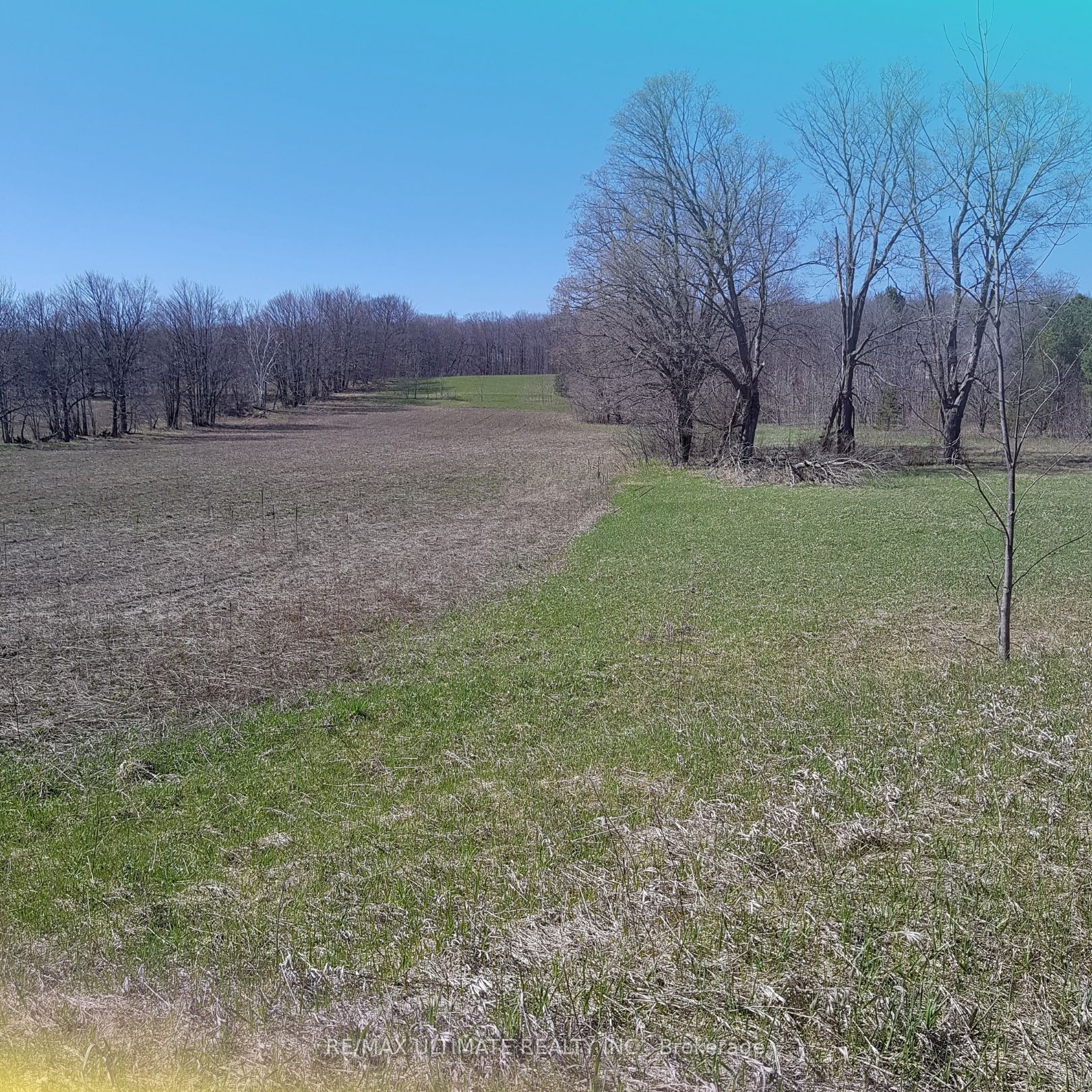 Additional image 2 of 1024 Old Barrie Road, Oro-medonte, ON, L0L 2L0