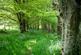 Additional image 41 of Lledrod, Near Aberystwyth