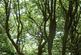 Additional image 2 of Elland Park Wood, Elland HX5