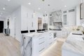 Additional image 8 of 1234 S Western Ave, Park Ridge, IL, 60068