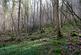 Additional image 9 of Blackberry Lane, Bath BA15