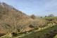 Additional image 33 of Pontrhydfendigaid, Ystrad Meurig, SY25