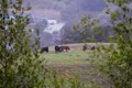 Additional image 8 of 435 Tabor Dr, Scotts Valley, CA, 95066