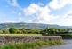 Additional image 14 of Llanelly Church Road, Gilwern, Abergavenny, NP7