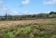 Additional image 35 of Heol Ddu Farm, Cefneithin, Llanelli