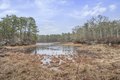Additional image 30 of 1157 Orleans-Harwich, Harwich, MA, 02645