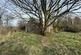 Additional image 43 of Nebo, Llanon, SY23