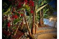 Additional image 18 of 1047 Cottage Way, Encinitas, CA, 92024