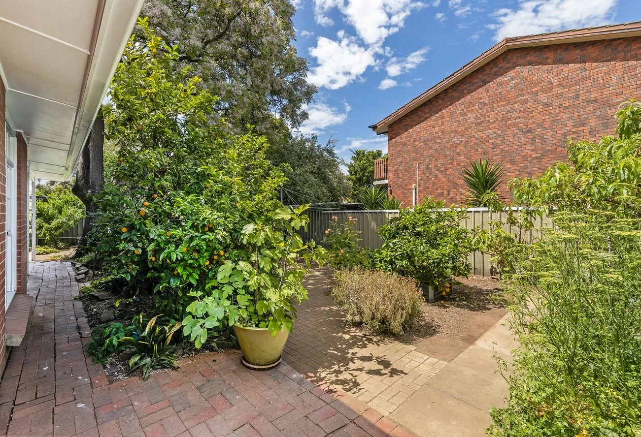 Additional image 11 of 3 Mavis Avenue, South Plympton SA 5038