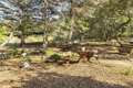 Additional image 25 of 1595 Chesapeake Pl, Arroyo Grande, CA, 93420