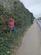 Land / Plot @ Abingdon Road, Maidstone, Kent ME16 9DP photo 5
