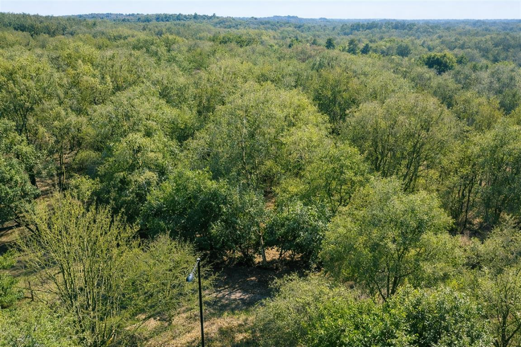 Additional image 31 of Streetly Lane, Four Oaks