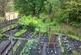 Additional image 32 of Green Bank, West Yorkshire HX7
