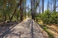 Additional image 49 of 3880 Spring Mountain Rd, Saint Helena, CA, 94574