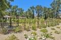 Additional image 5 of 1929 Mora Ave, Calistoga, CA, 94515