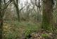 Additional image 16 of Coed Sion Wyn (about 5 and a half acres), Llanfihangel-y-Traethau, Harlech, Gwynedd LL46
