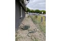 Additional image 19 of 16510 Lakeshore Dr, Lake Elsinore, CA, 92530