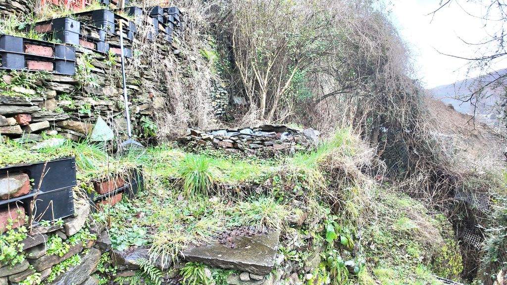 Additional image 33 of 3 bed terraced house for saleWoodland Terrace, New Tredegar NP24