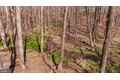 Additional image 119 of 901 Chestnut Ridge Dr, Lutherville Timonium, MD, 21093