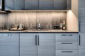 Additional image 13 of 625 W Division St, Chicago, IL, 60610