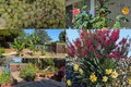Additional image 38 of 450 Stratford Park Ct, San Jose, CA, 95136