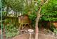 Additional image 30 of Dower Road, Sutton Coldfield