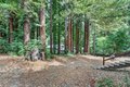 Additional image 55 of 14755 Two Bar Rd, Boulder Creek, CA, 95006