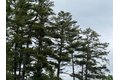 Additional image 41 of 8 Read Dr, Lake Luzerne, NY, 12846