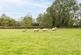 Additional image 31 of Finchingfield Road, Little Sampford CB10