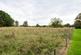 Additional image 43 of Cofton Church Lane, Cofton Hackett