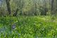 Additional image 45 of Cookbury, Holsworthy, Devon, EX22