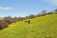 Additional image 24 of Pencader, Carmarthenshire SA39