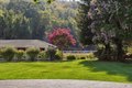 Additional image 3 of 1321 Butterfield Rd, San Anselmo, CA, 94960