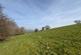 Additional image 15 of Pontrhydfendigaid, Ystrad Meurig, SY25