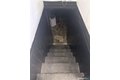 Additional image 30 of 111 Elmwood Pl, Bridgeport, CT, 06605