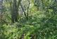 Additional image 41 of Cookbury Court, Cookbury, Holsworthy, Devon, EX22