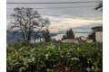 Additional image 36 of 15612 38th Ave NE, Lake Forest Park, WA, 98155