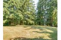 Additional image 37 of 1712 Mount Pleasant Rd, Kelso, WA, 98626