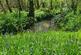Additional image 48 of Cookbury, Holsworthy, Devon, EX22