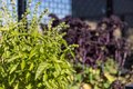 Additional image 18 of 1100 Avenue at Port Imperial, Weehawken, NJ, 07086