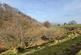 Additional image 16 of Pontrhydfendigaid, Ystrad Meurig, SY25